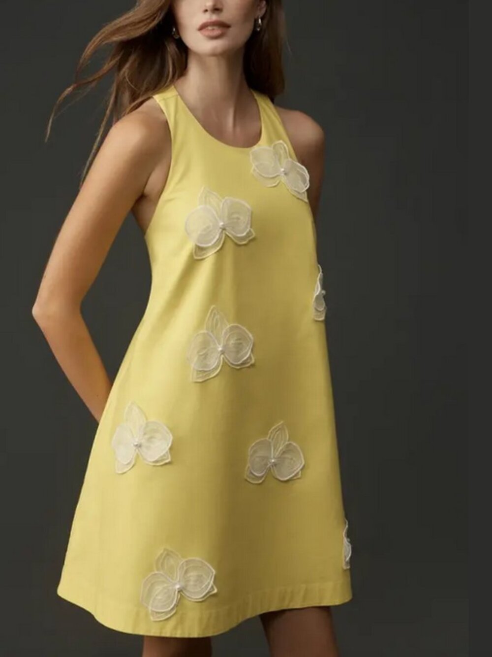 NWT Maeve by Anthropologie 3D Floral Mini Swing Dress